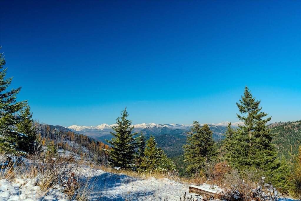 Farm/Ranch/Plantation's Image 7