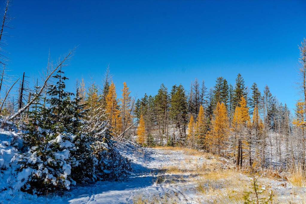 Farm/Ranch/Plantation's Image 12