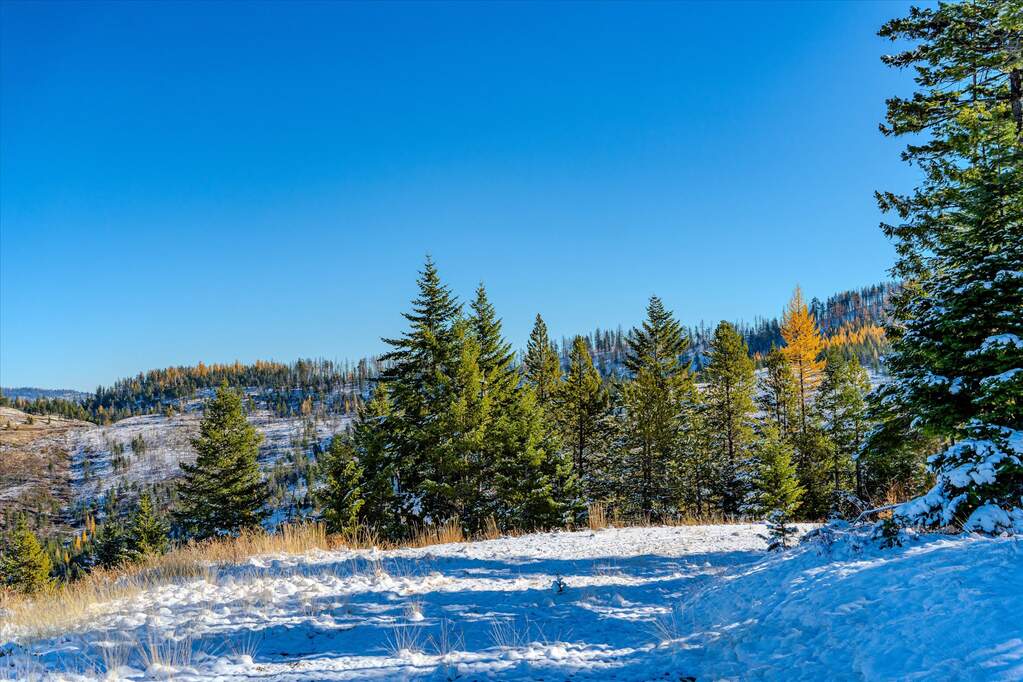 Farm/Ranch/Plantation's Image 14