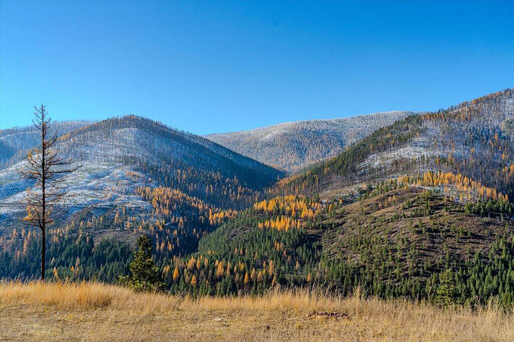 Farm/Ranch/Plantation's Image 19