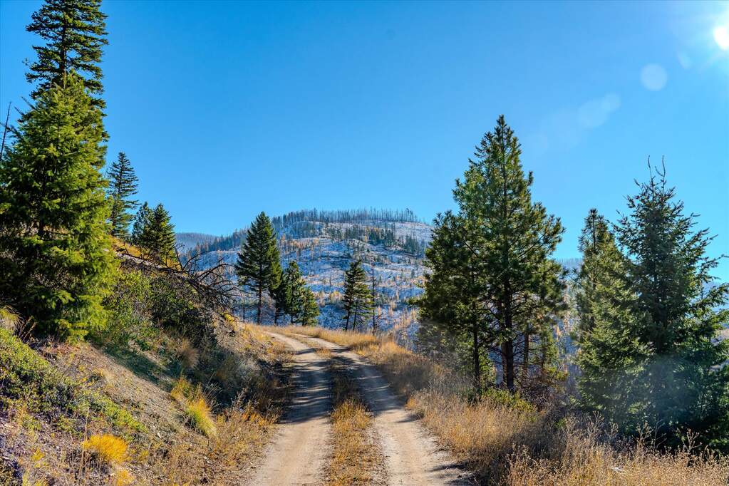Farm/Ranch/Plantation's Image 20