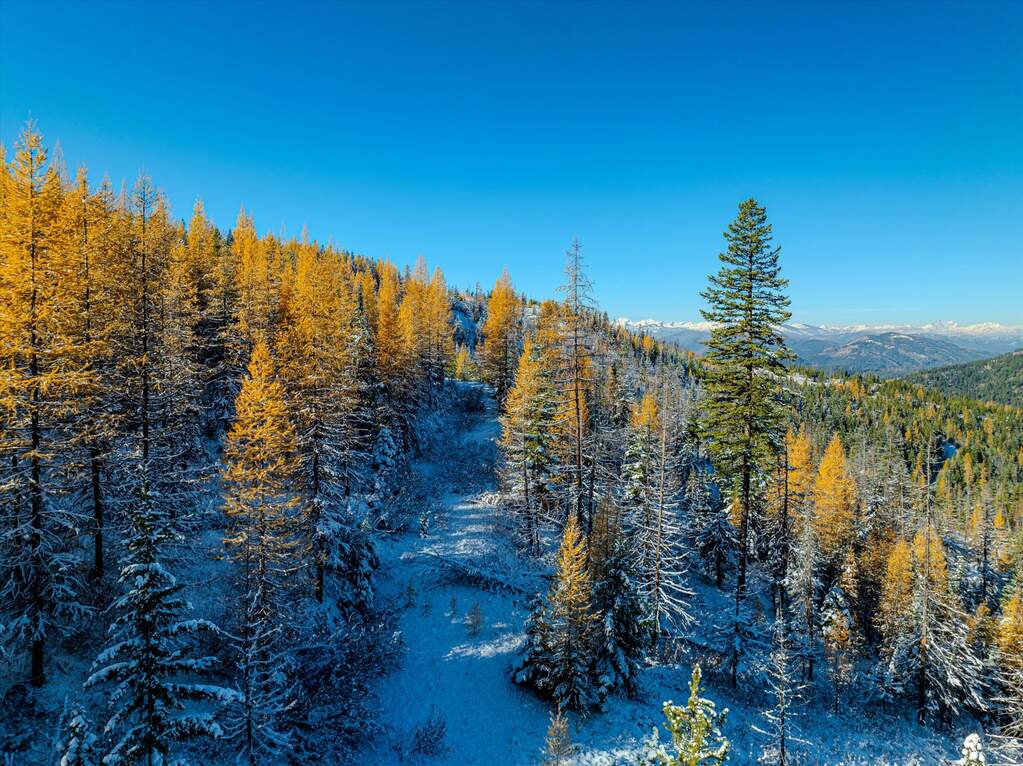 Farm/Ranch/Plantation's Image 47