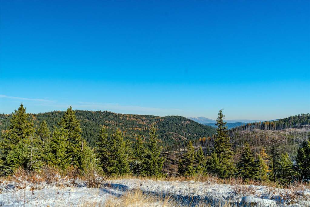Farm/Ranch/Plantation's Image 6