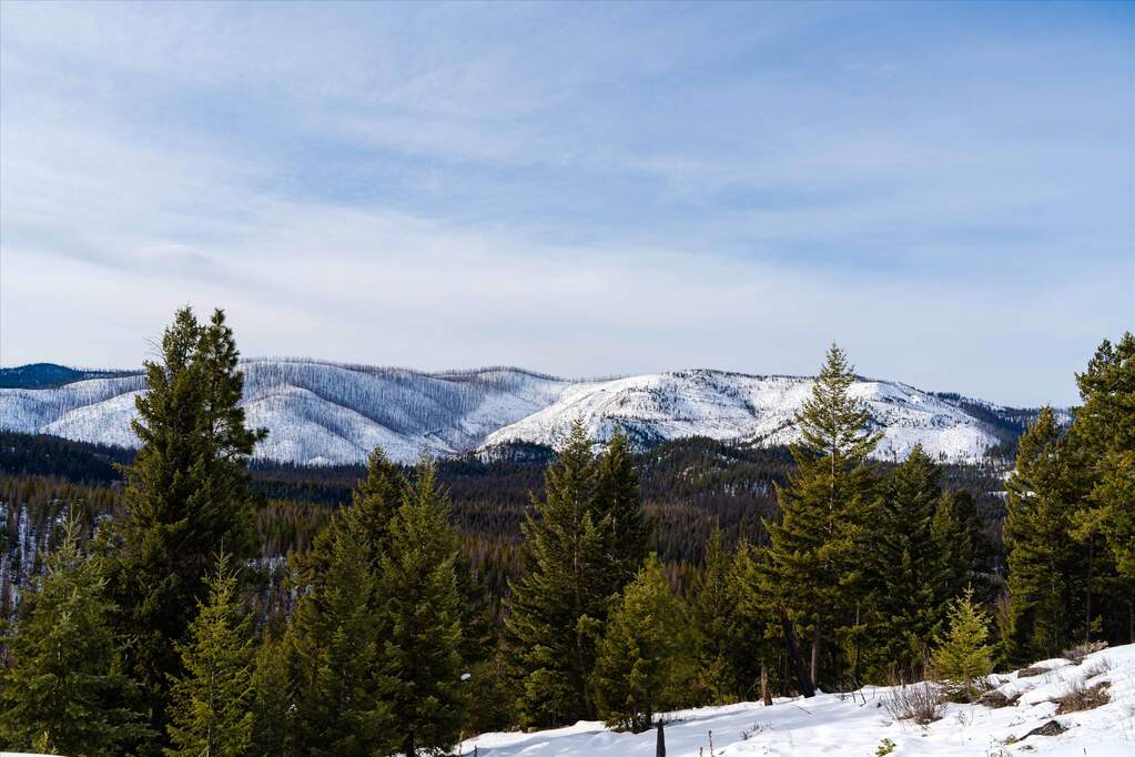 Farm/Ranch/Plantation's Image 7