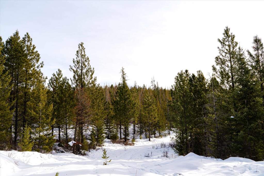 Farm/Ranch/Plantation's Image 8