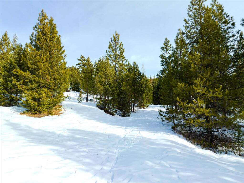 Farm/Ranch/Plantation's Image 12
