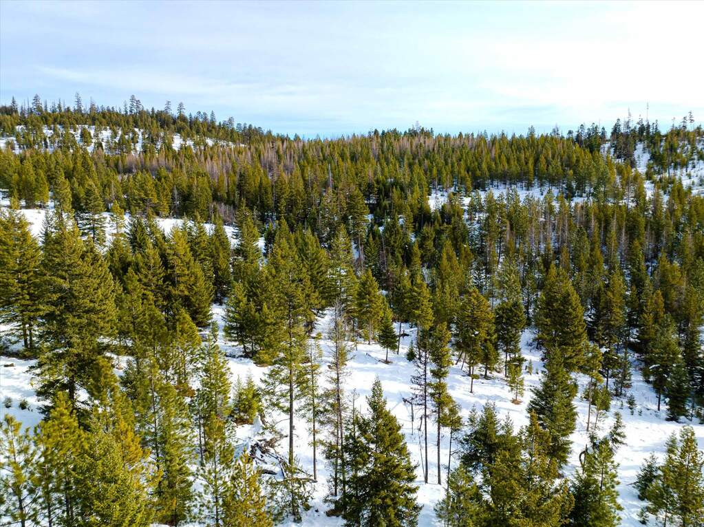 Farm/Ranch/Plantation's Image 13