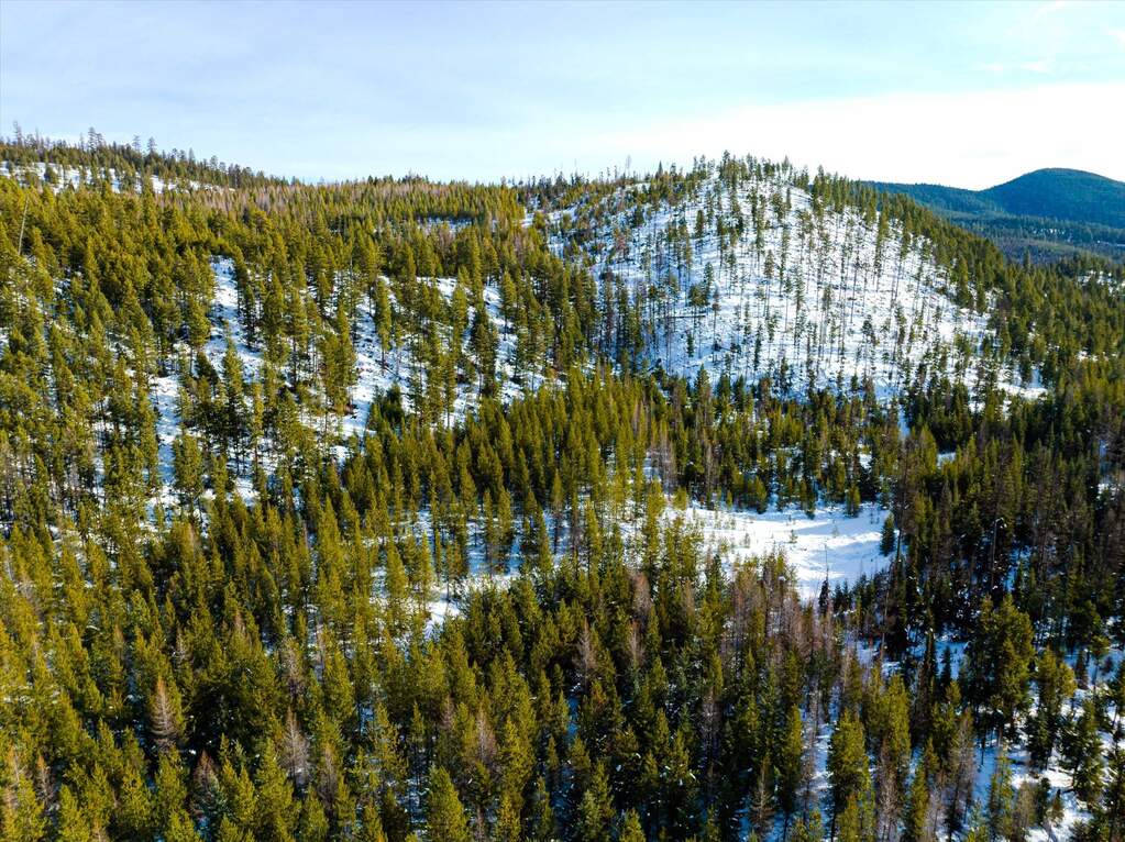 Farm/Ranch/Plantation's Image 47