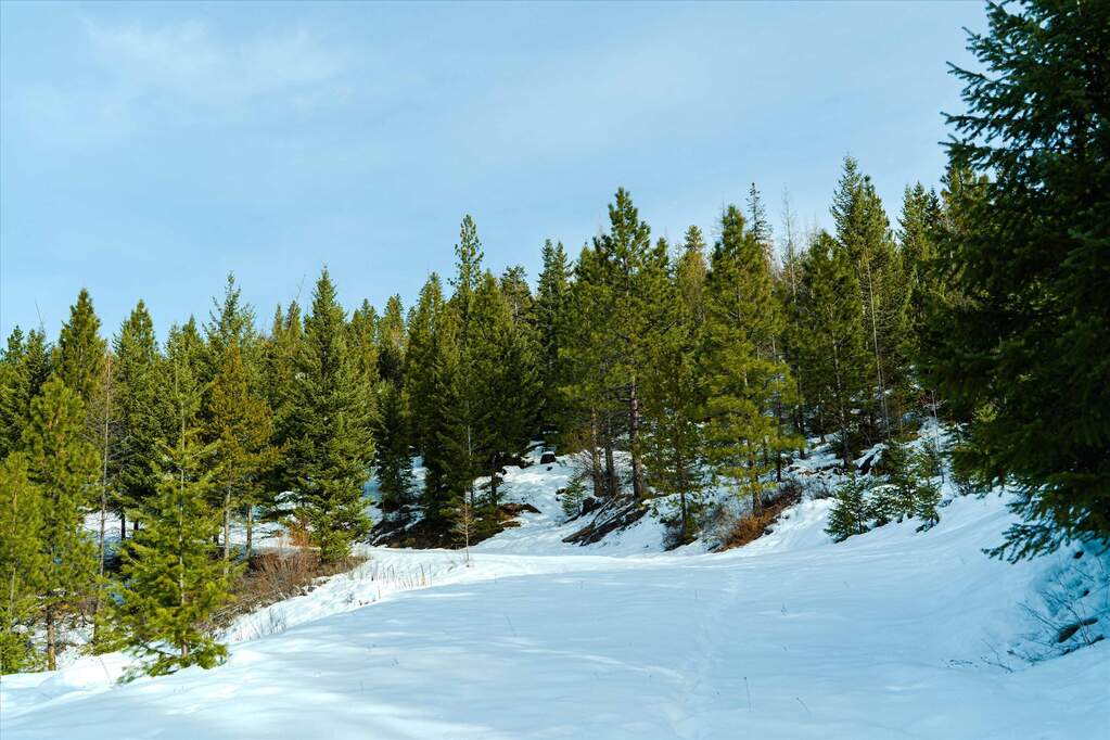 Farm/Ranch/Plantation's Image 5