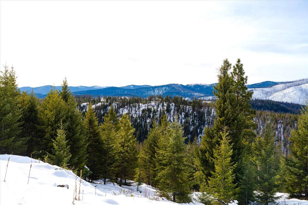 Farm/Ranch/Plantation's Image 6