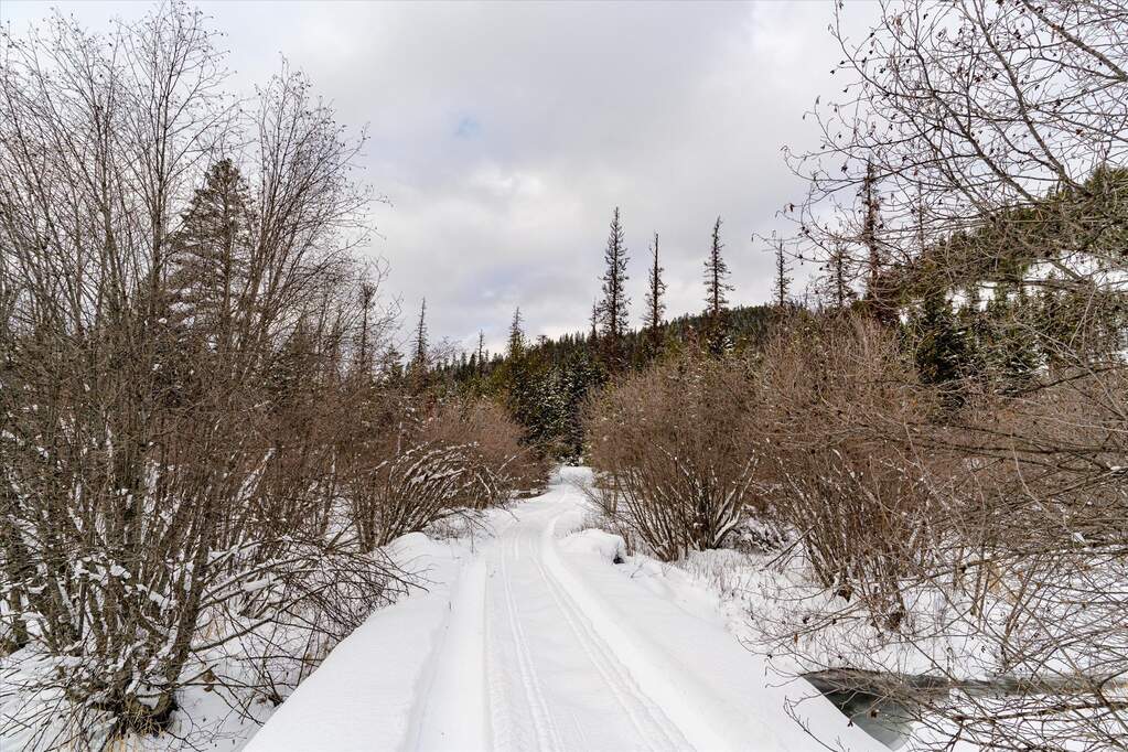 Farm/Ranch/Plantation's Image 8