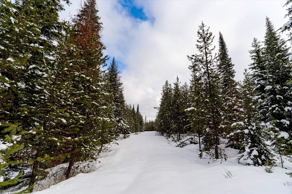 Farm/Ranch/Plantation's Image 9