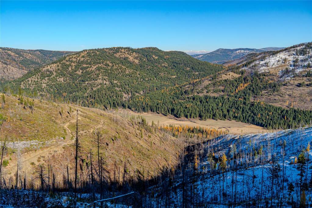 Farm/Ranch/Plantation's Image 7