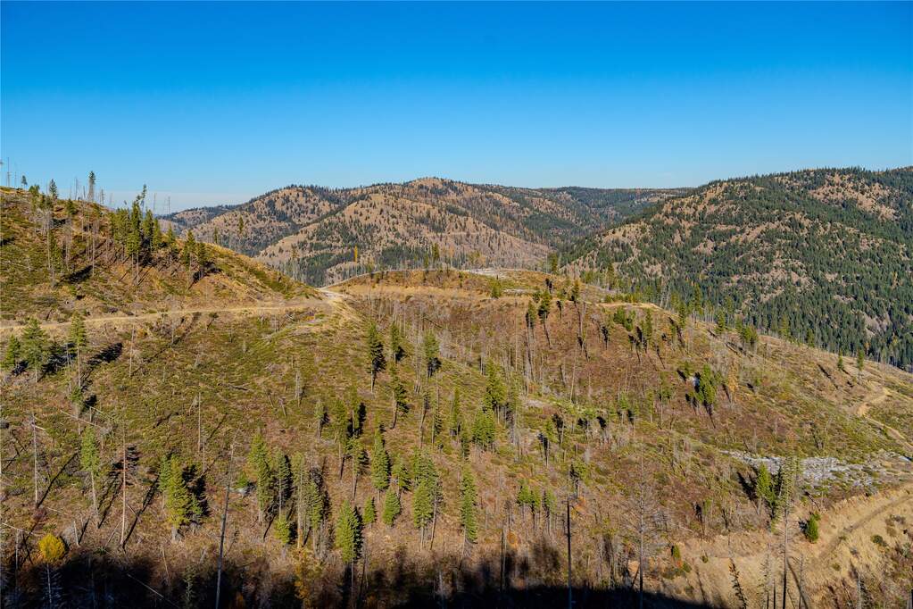 Farm/Ranch/Plantation's Image 8