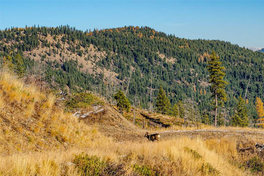Farm/Ranch/Plantation's Image 9
