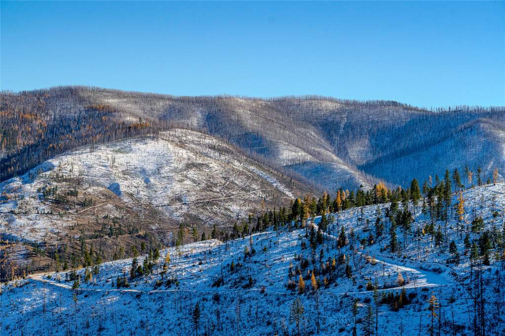 Farm/Ranch/Plantation's Image 11