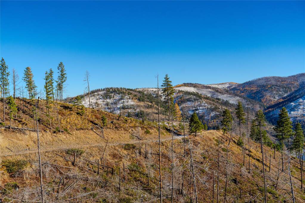 Farm/Ranch/Plantation's Image 12