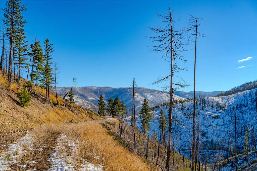 Farm/Ranch/Plantation's Image 13