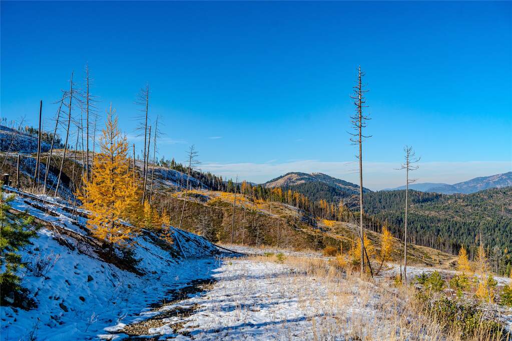 Farm/Ranch/Plantation's Image 15