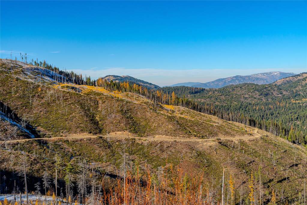 Farm/Ranch/Plantation's Image 17