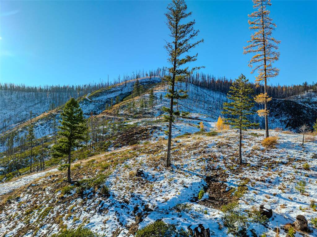 Farm/Ranch/Plantation's Image 23