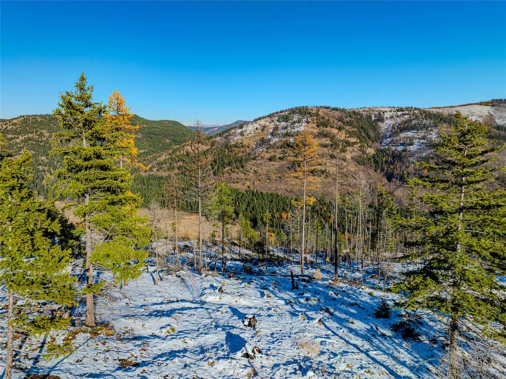 Farm/Ranch/Plantation's Image 45