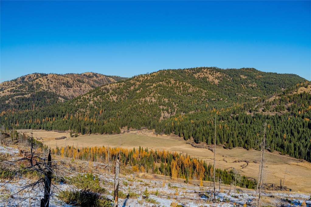 Farm/Ranch/Plantation's Image 4