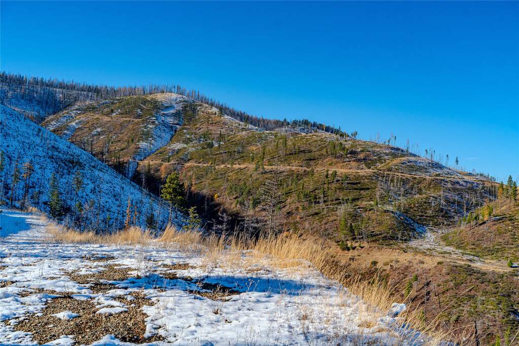 Farm/Ranch/Plantation's Image 5