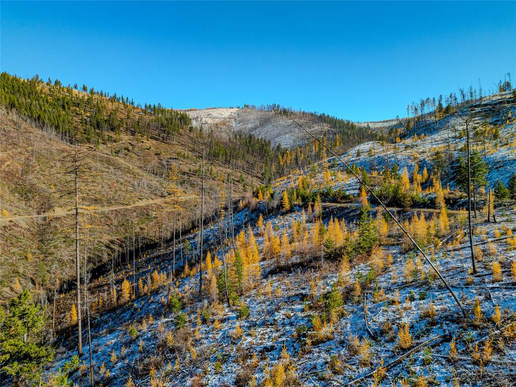 Farm/Ranch/Plantation's Image 14