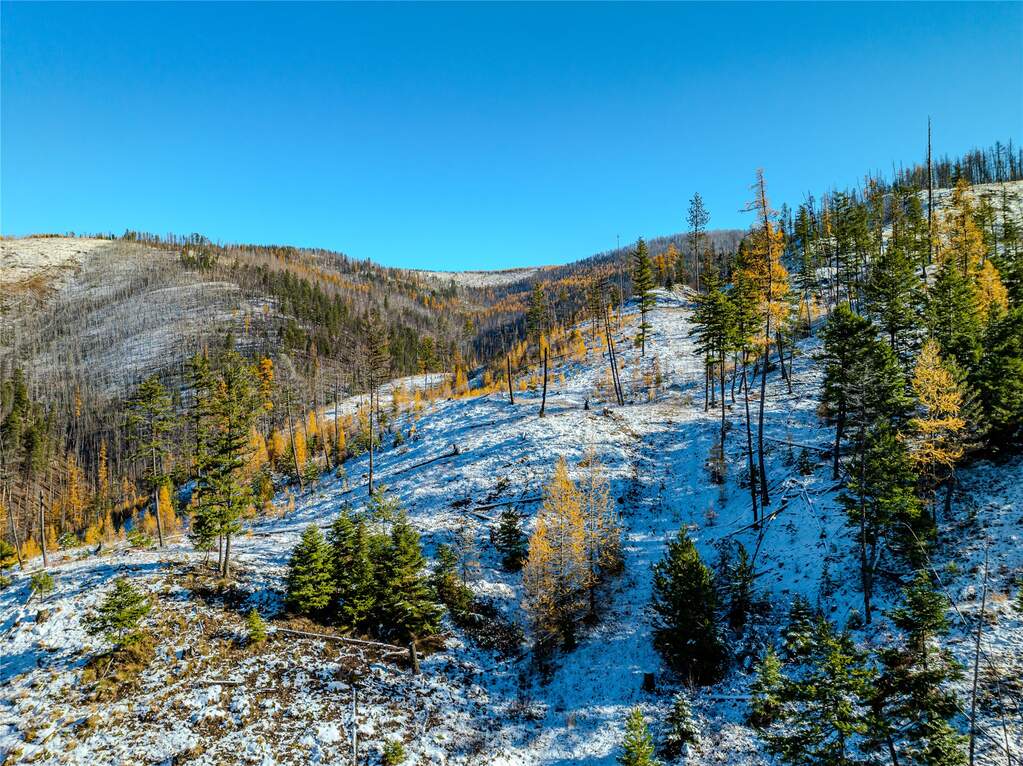 Farm/Ranch/Plantation's Image 15