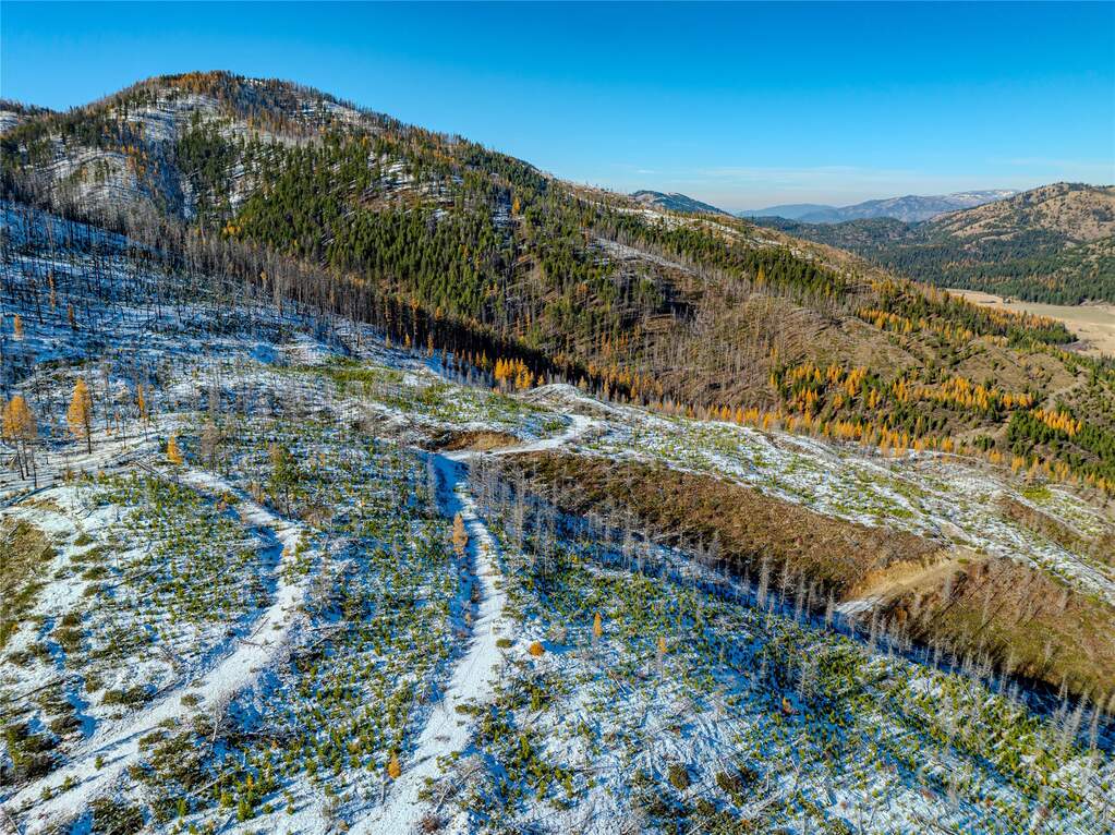 Farm/Ranch/Plantation's Image 35