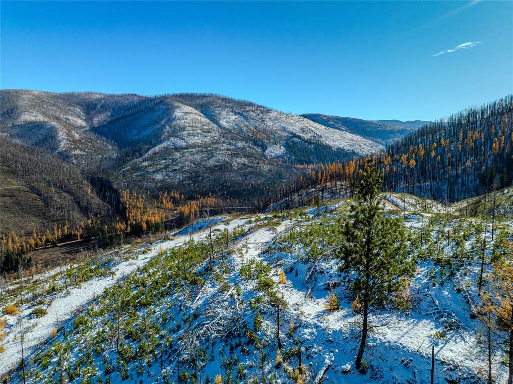 Farm/Ranch/Plantation's Image 41