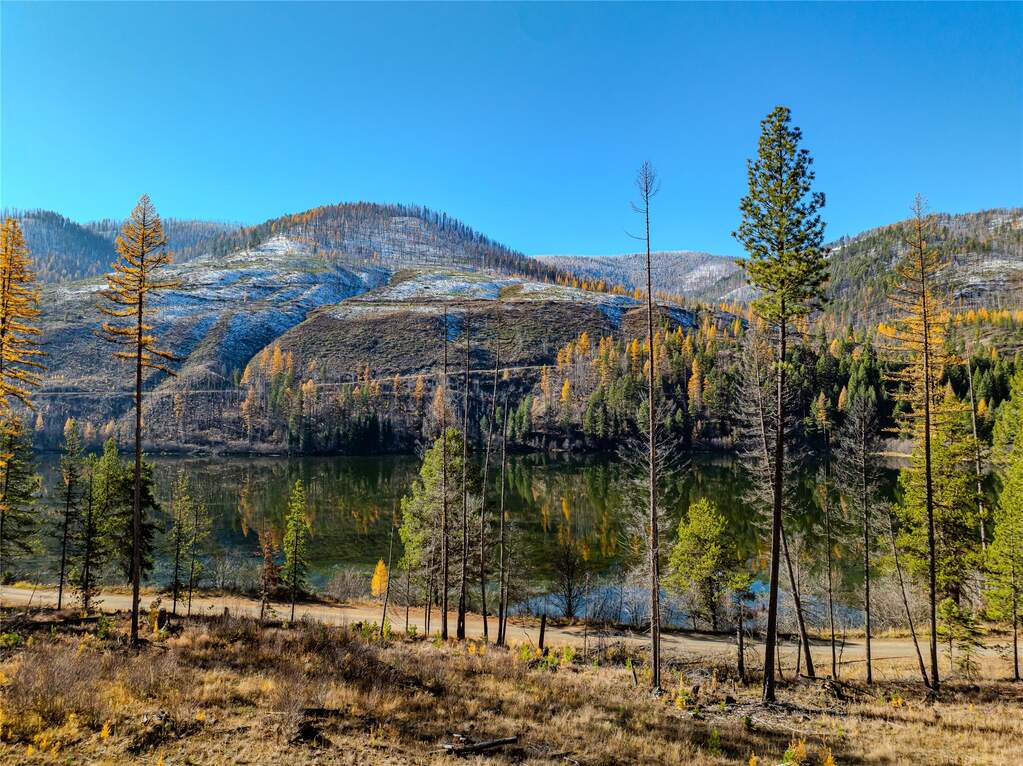 Farm/Ranch/Plantation's Image 5