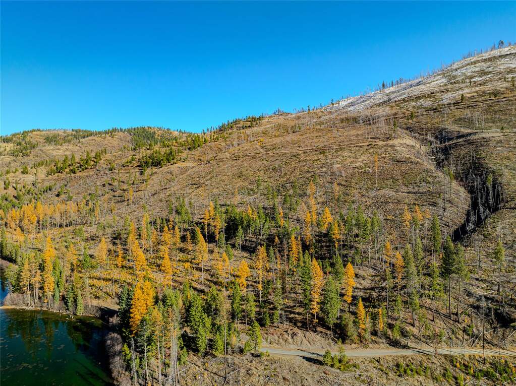 Farm/Ranch/Plantation's Image 6