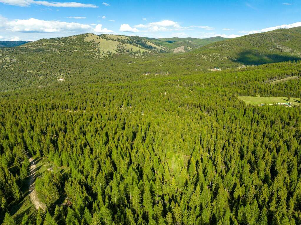Land/Vacant Land's Image 8