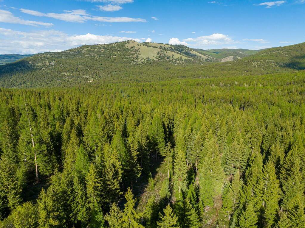Land/Vacant Land's Image 9