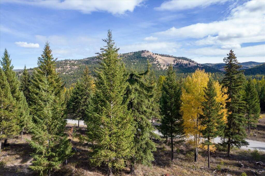 Land/Vacant Land's Image 27