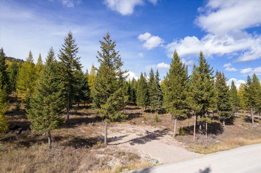 Land/Vacant Land's Image 41