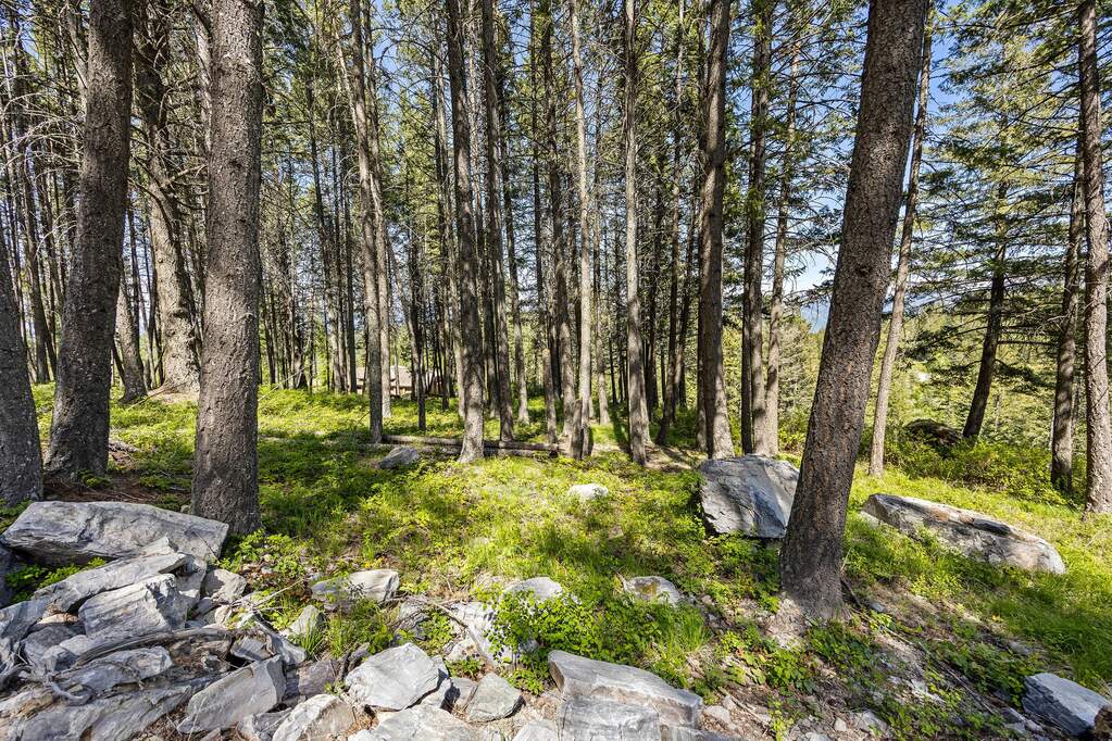 Land/Vacant Land's Image 28