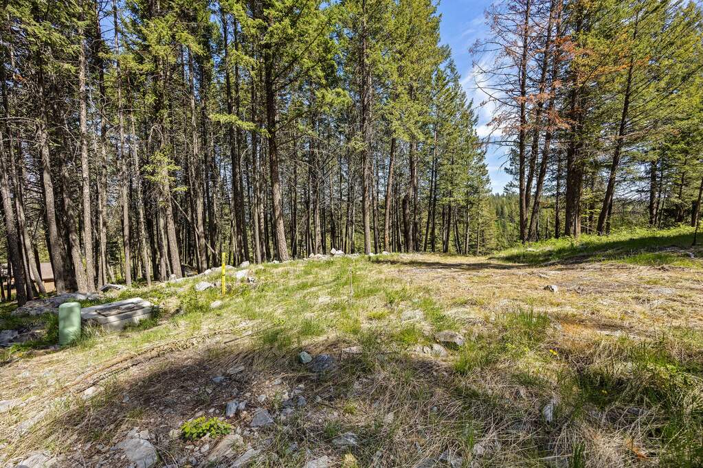 Land/Vacant Land's Image 29