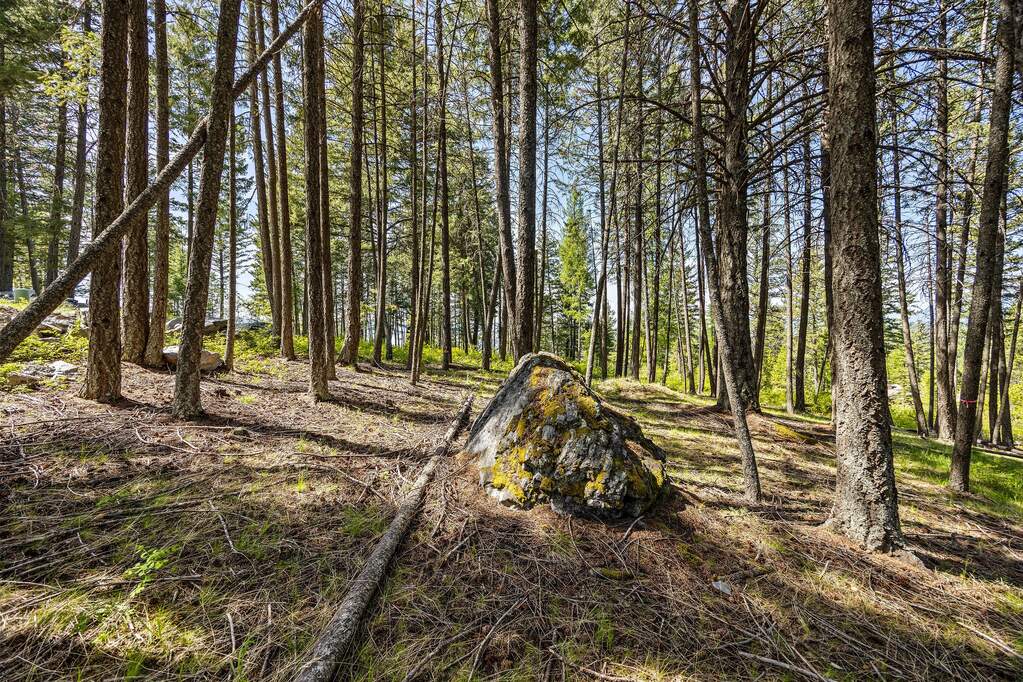 Land/Vacant Land's Image 30