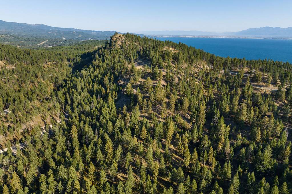 Land/Vacant Land's Image 8