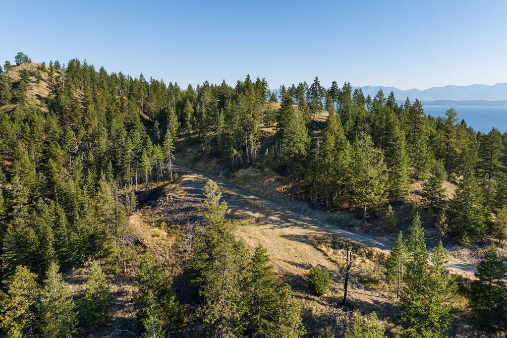Land/Vacant Land's Image 16