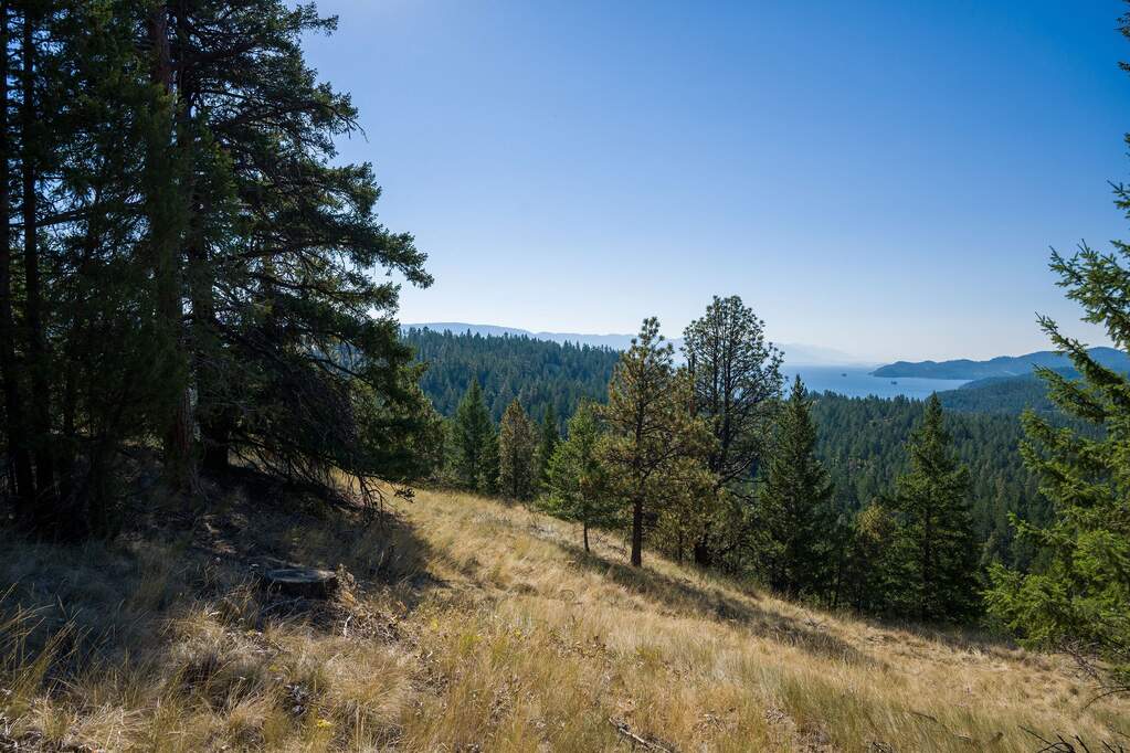 Land/Vacant Land's Image 19