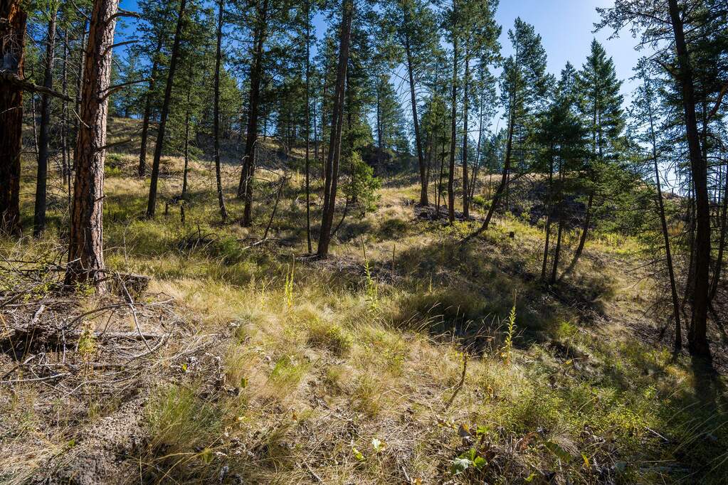 Land/Vacant Land's Image 21