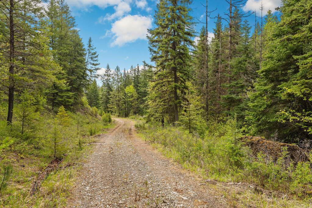 Land/Vacant Land's Image 8