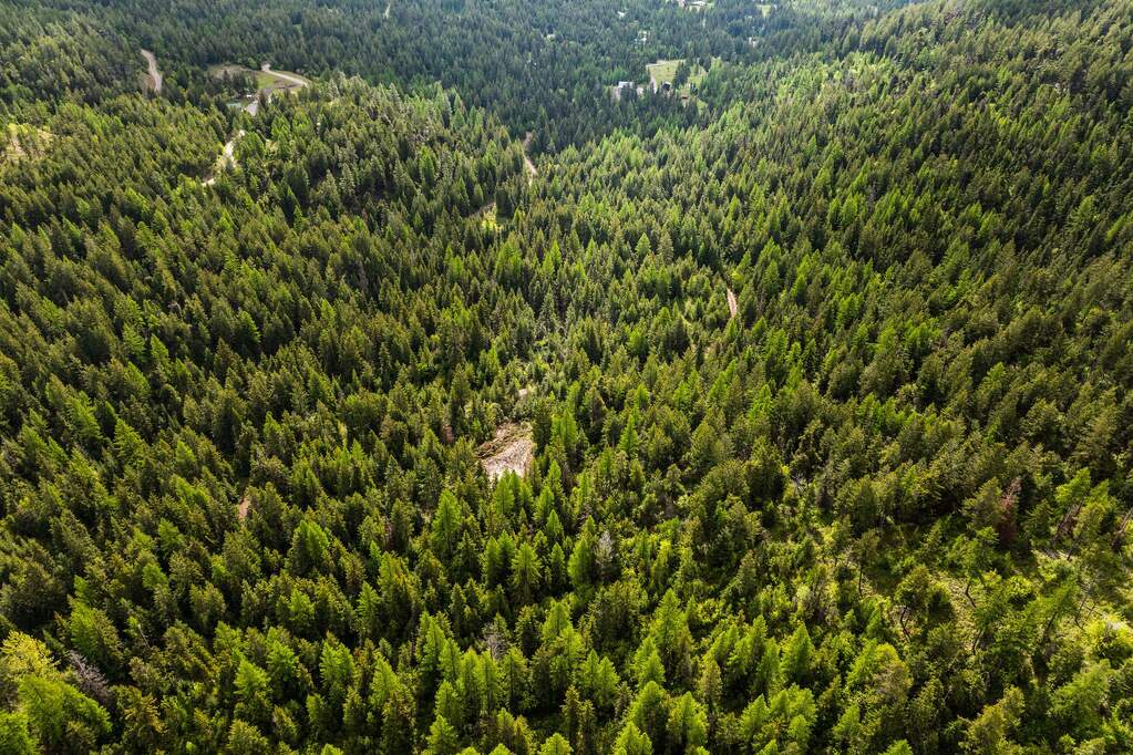 Land/Vacant Land's Image 15