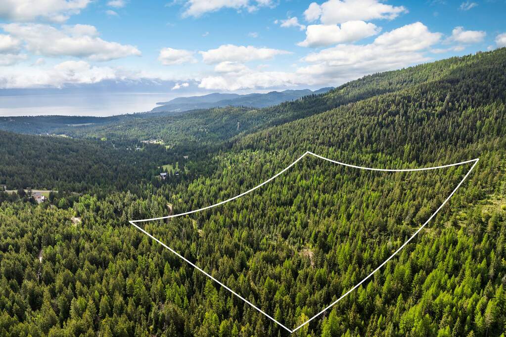 Land/Vacant Land's Image 25