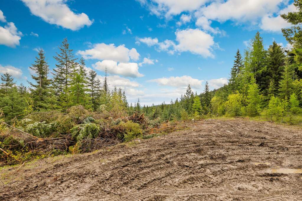 Land/Vacant Land's Image 26