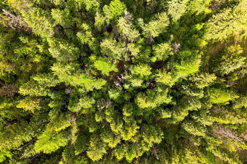 Land/Vacant Land's Image 29